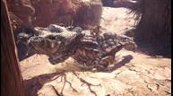 MHW_PC_STEAMSCREEN (4).jpg